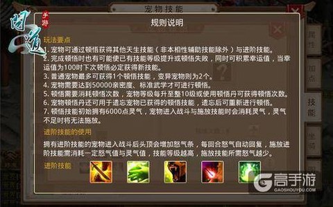 手游问道宝宝怎么顿悟[图2]